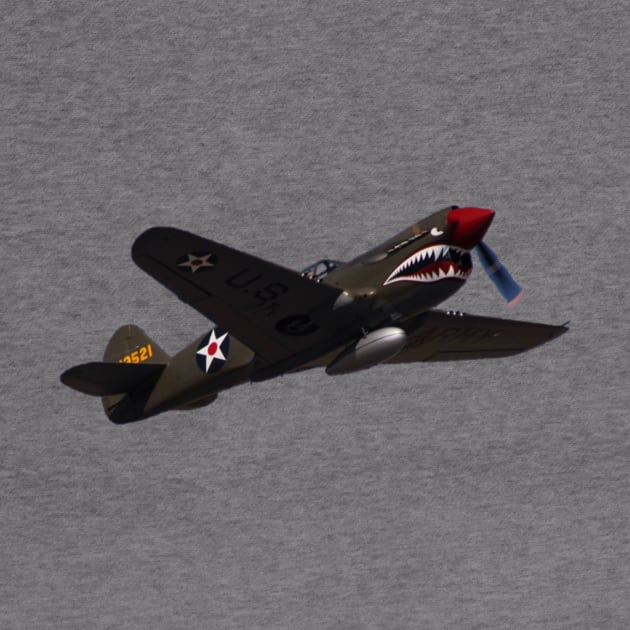 P-40E Warhawk - No Background by acefox1